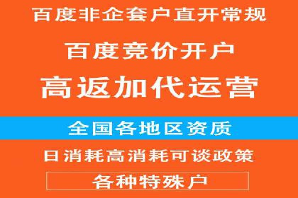 SEM专员案例：数据分析与优化